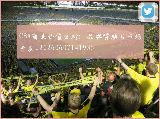 CBA商业价值分析:品牌赞助与市场开发_20260607141935
